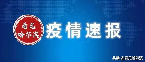 哈尔滨爆料新消息最新,揭秘城市新动态与重大事件！  第3张