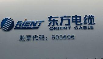 东方电缆最新爆料,揭秘行业新动态与技术创新  第3张