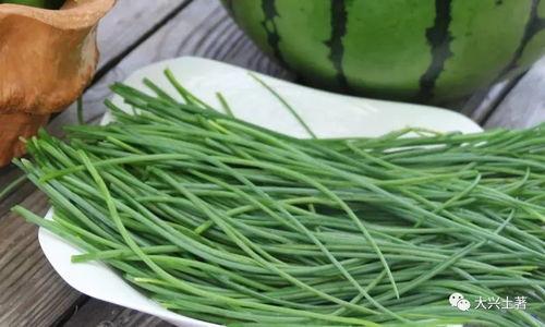 网红吃瓜大集合图片,一场视觉盛宴的狂欢时刻  第2张