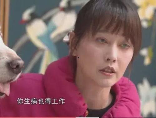 黄安爆料周海媚身世视频,一段尘封的往事  第2张